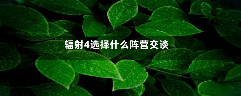 辐射4选择什么阵营交谈