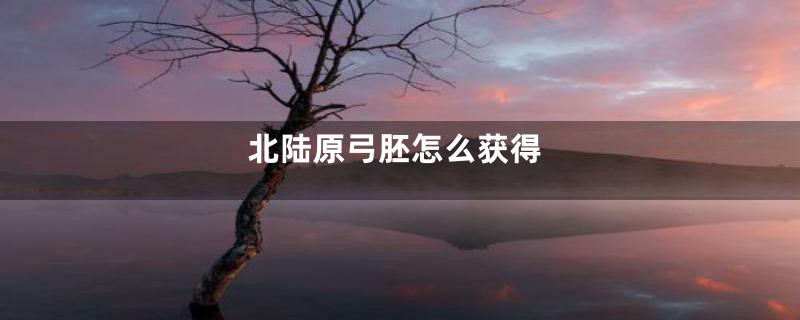 北陆原弓胚怎么获得