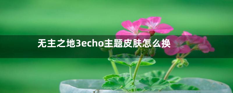 无主之地3echo主题皮肤怎么换