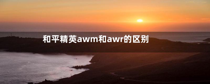 和平精英awm和awr的区别