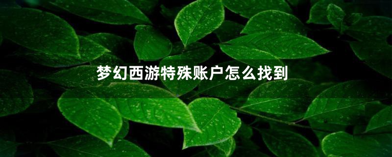 梦幻西游特殊账户怎么找到