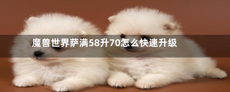 魔兽世界萨满58升70怎么快速升级