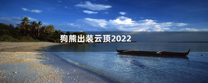 狗熊出装云顶2022