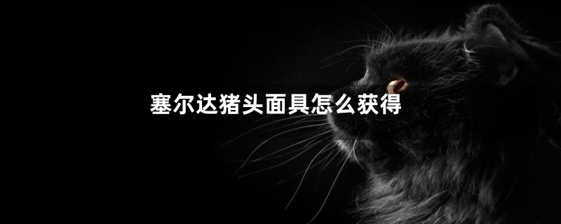 塞尔达猪头面具怎么获得