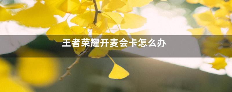 王者荣耀开麦会卡怎么办