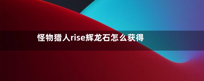 怪物猎人rise辉龙石怎么获得