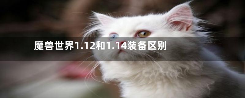 魔兽世界1.12和1.14装备区别