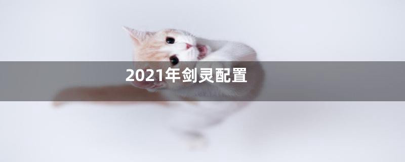 2021年剑灵配置