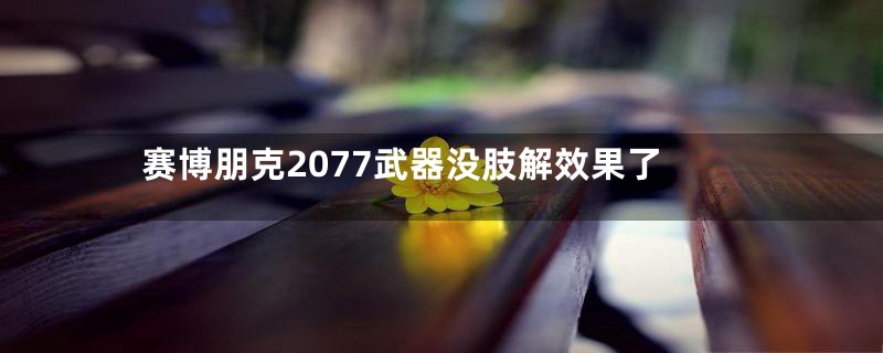 赛博朋克2077武器没肢解效果了