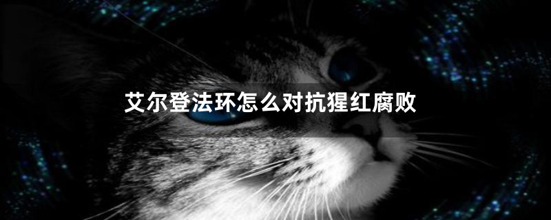 艾尔登法环怎么对抗猩红腐败