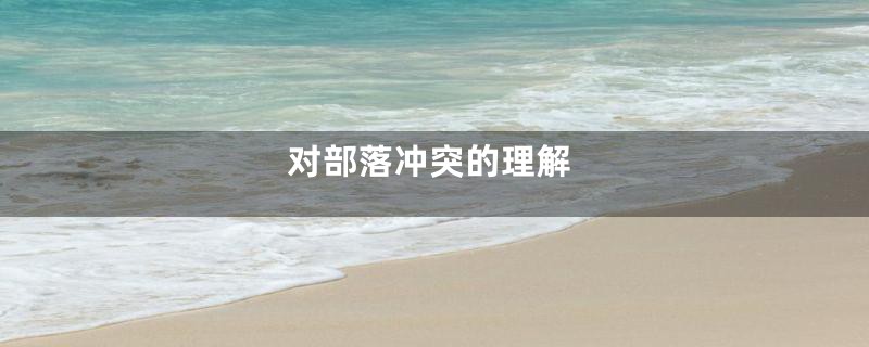 对部落冲突的理解