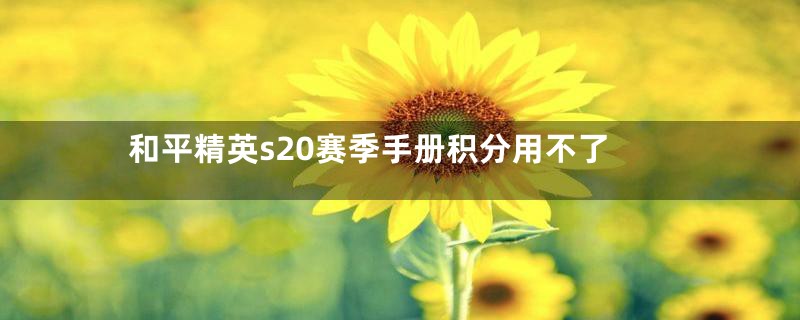 和平精英s20赛季手册积分用不了