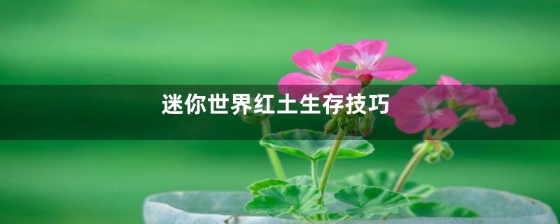 迷你世界红土生存技巧