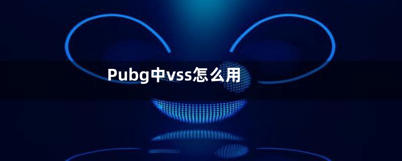 Pubg中vss怎么用