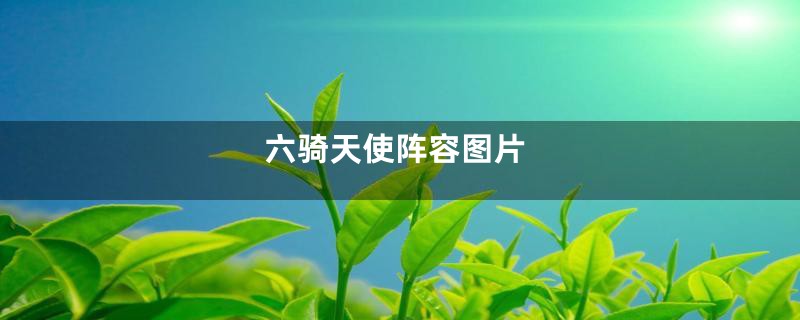 六骑天使阵容图片