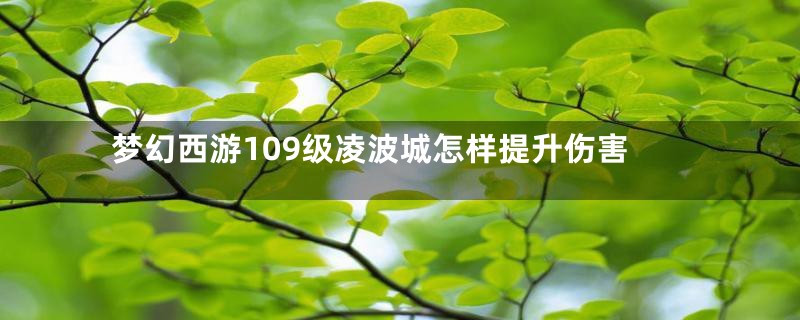 梦幻西游109级凌波城怎样提升伤害