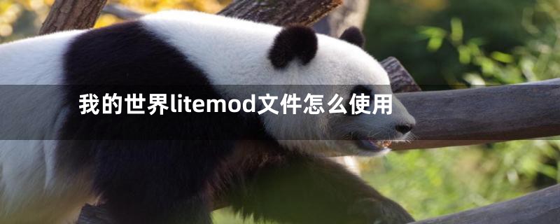 我的世界litemod文件怎么使用