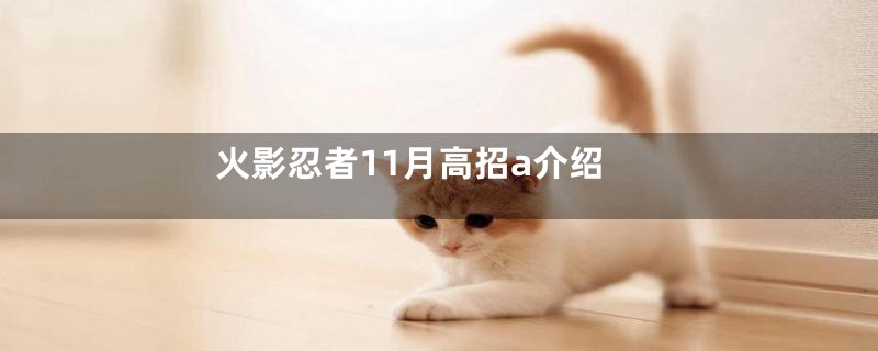 火影忍者11月高招a介绍