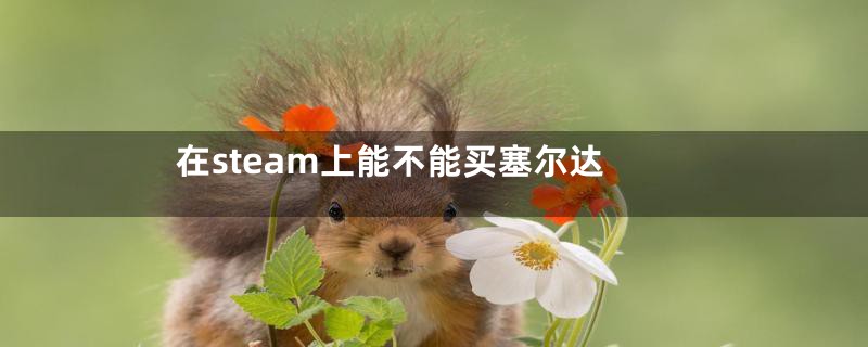 在steam上能不能买塞尔达