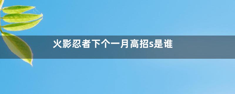 火影忍者下个一月高招s是谁