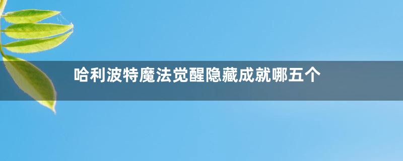 哈利波特魔法觉醒隐藏成就哪五个