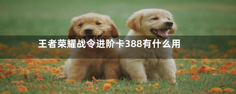 王者荣耀战令进阶卡388有什么用