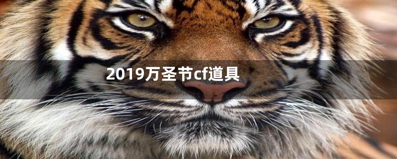 2019万圣节cf道具