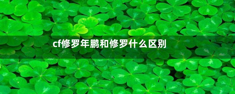 cf修罗年鹏和修罗什么区别