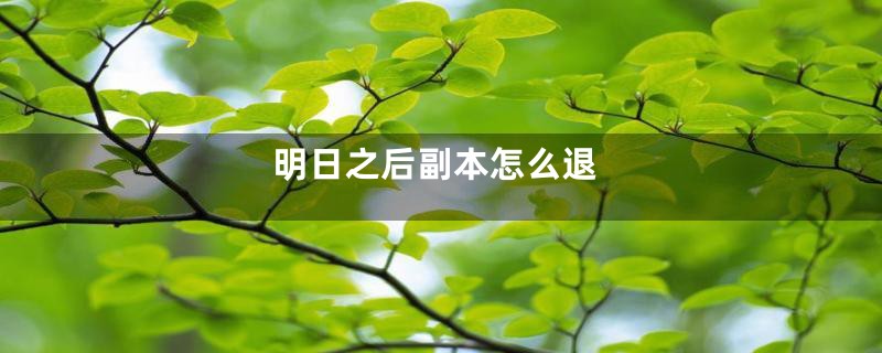 明日之后副本怎么退