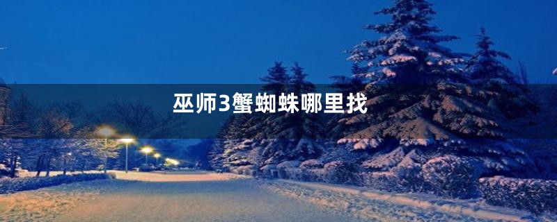 巫师3蟹蜘蛛哪里找