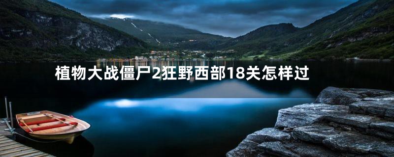 植物大战僵尸2狂野西部18关怎样过