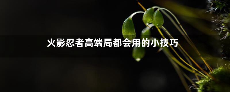 火影忍者高端局都会用的小技巧