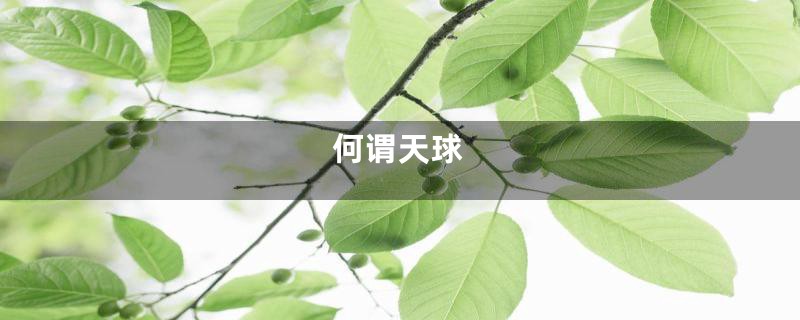 何谓天球