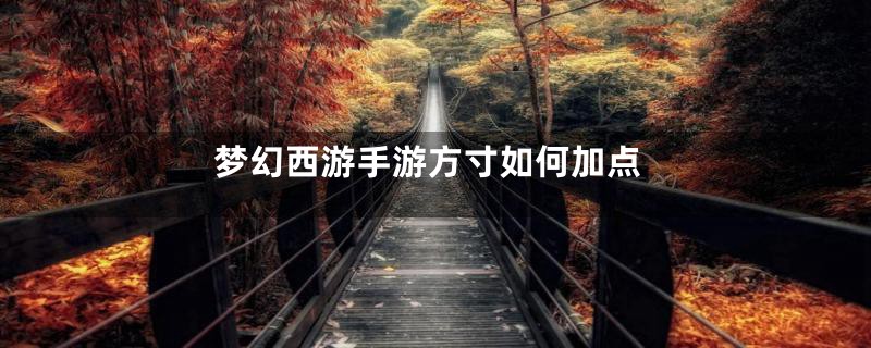 梦幻西游手游方寸如何加点