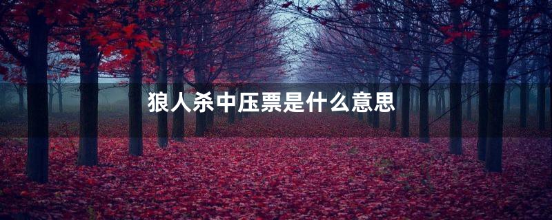 狼人杀中压票是什么意思