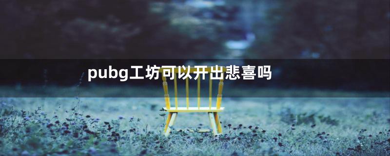 pubg工坊可以开出悲喜吗