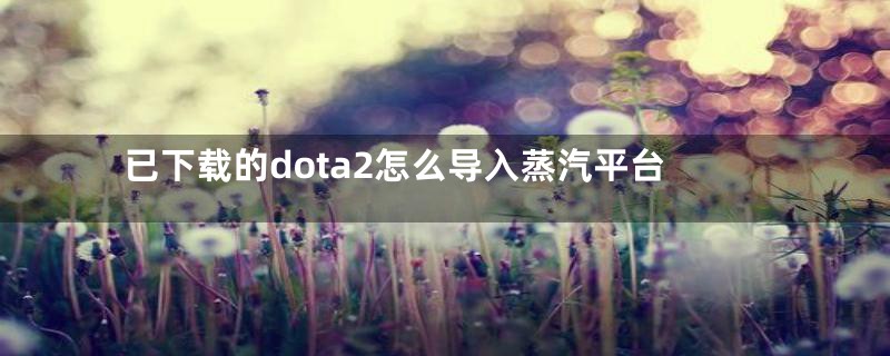 已下载的dota2怎么导入蒸汽平台