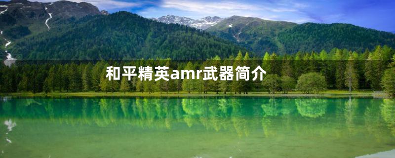 和平精英amr武器简介