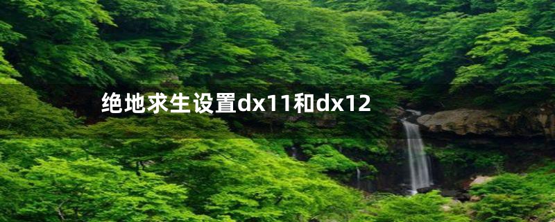 绝地求生设置dx11和dx12