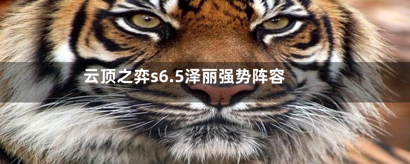 云顶之弈s6.5泽丽强势阵容