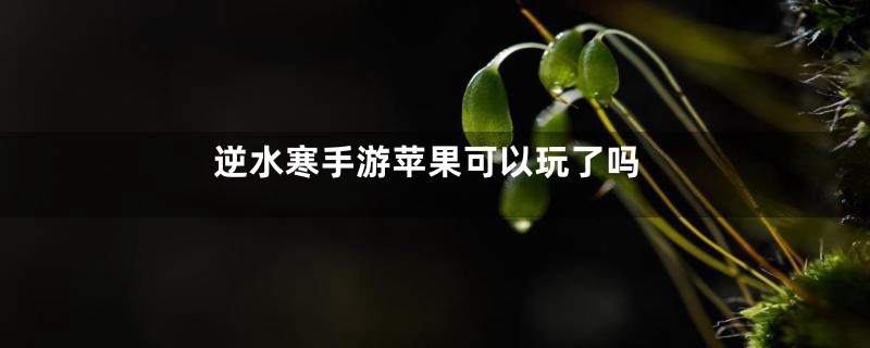 逆水寒手游苹果可以玩了吗