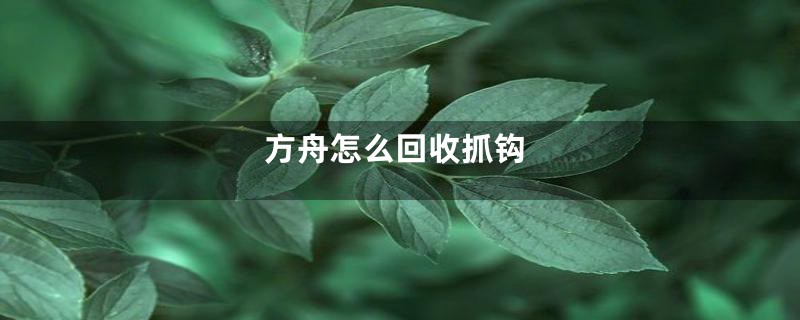 方舟怎么回收抓钩