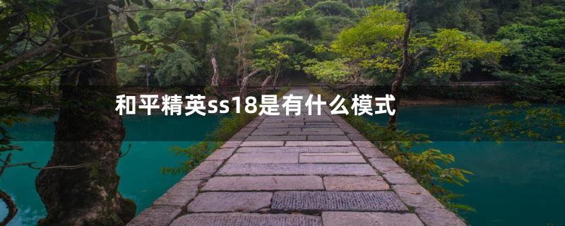 和平精英ss18是有什么模式