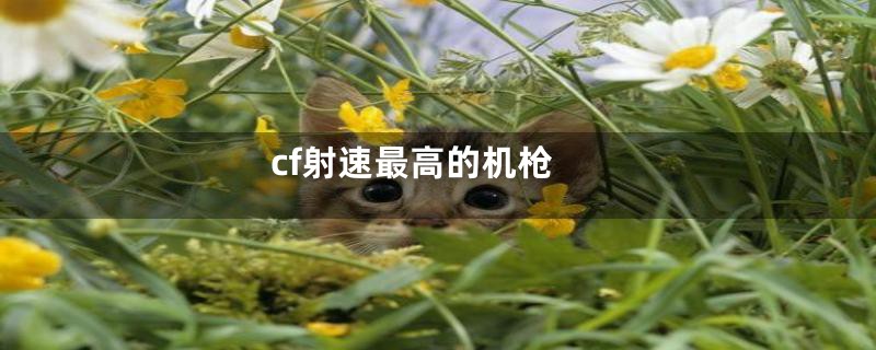 cf射速最高的机枪