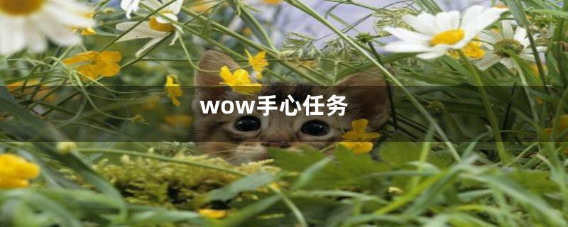 wow手心任务