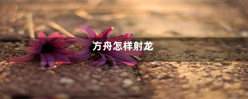 方舟怎样射龙