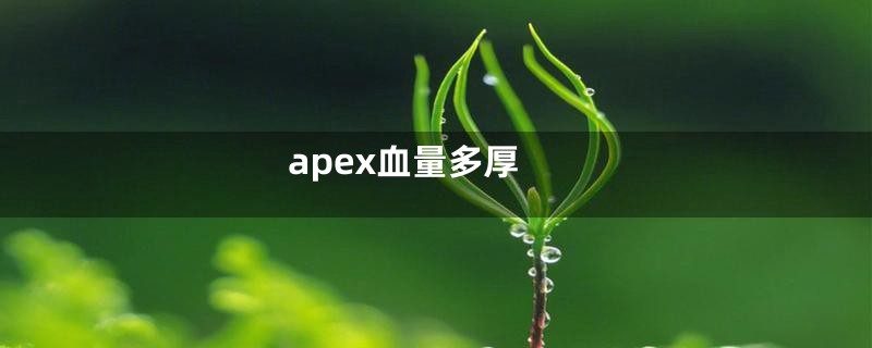 apex血量多厚