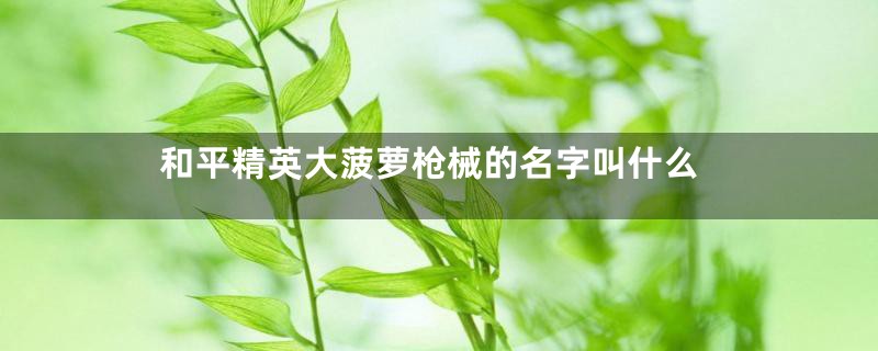 和平精英大菠萝枪械的名字叫什么