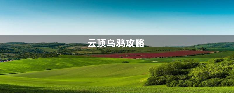 云顶乌鸦攻略