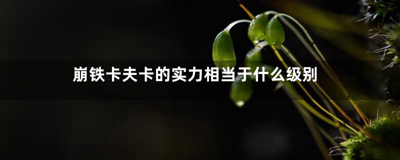 崩铁卡夫卡的实力相当于什么级别